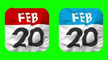 twintigste, 20e februari datum kalender naadloos looping schildknaap kleding icoon, lusvormige duidelijk kleding stof structuur golvend langzaam beweging, 3d weergave, groen scherm, alpha matte video