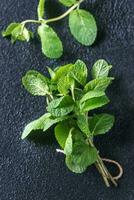 Bunch of fresh mint on the dark background photo