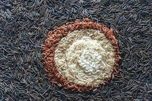 Different kinds of rice top view photo