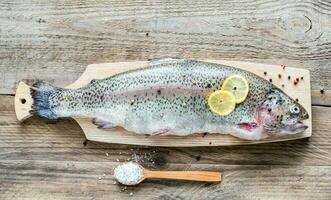 Fresh trout flat lay photo