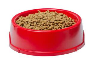 Dry food for dogs or cats in a red bowl isolate on white. Balanced nutrition for pets. photo