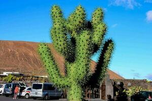 vista escénica del desierto foto