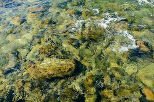 río rocas ver foto