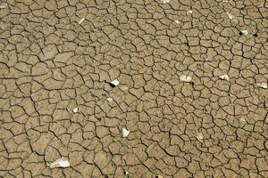 Dried soil texture background photo