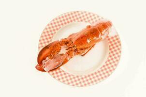 Isolated lobster on white background photo