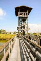 Scenic pier view photo