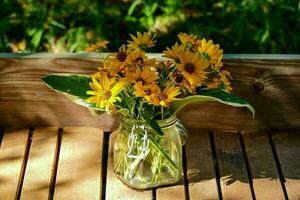 Colorful flowers close-up photo