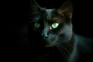ai generado minimalista retrato de un pulcro negro gato, con perforación verde ojos y sutil oscuridad. foto