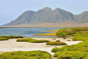 Scenic coast view photo