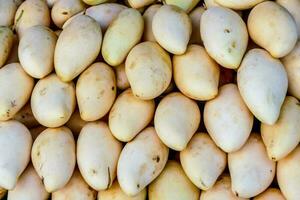 Fresh mangoes close-up photo