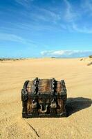 Miniature trunk on the beach photo