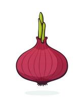 Cartoon illustration of bulb of red onion with green sprout. Healthy vegetarian food. Ingredient for salad vector