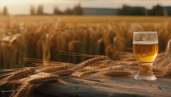 Golden wheat fields, nature brewery for beer generated by AI photo