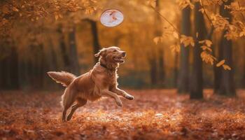 Golden retriever puppy playing in autumn forest generated by AI photo