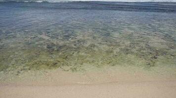 looping tropisch strand met blauw lucht in Indonesië video