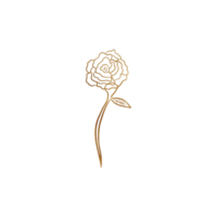 Golden Rose Outline png