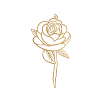 gouden roos schets png