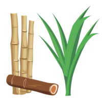 Sugarcane transparent background,Ai generative png