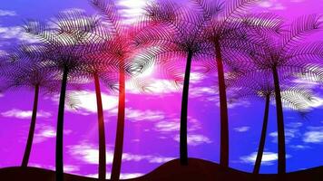 Beautiful Palm Trees Animation With Cloud Moving In The Sky, Summer Sky View With Palm Trees And Glowing Sun Animation Background. Beautiful Sky And Palm Tress With Sun Rays And Cloud Moving Hot Summe video