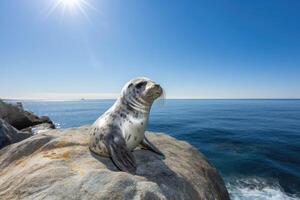 ai generado adorable bebé sello descansando en un roca, con un espumoso azul Oceano y un brillante foto