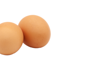 Two raw brown eggs from a chicken with no background. Isolated. Photo in high quality. PNG