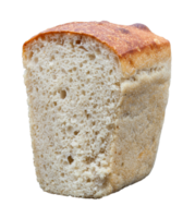 Rye bread without a background in the cut with a crispy crust and texture in the hole. Fresh homemade sourdough bread. Photo in high quality. PNG