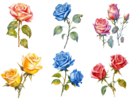 verzameling van wijnoogst rozen met Afdeling. kleurrijk waterverf roze, blauw en geel bloemen met groen bladeren illustratie set. ai gegenereerd png