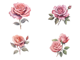 verzameling van wijnoogst rozen met Afdeling. kleurrijk waterverf bloemen met bladeren illustratie set. ai gegenereerd png