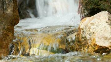 un primavera agua en el montañas video