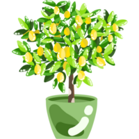 citron- träd i en pott png