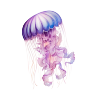 Watercolor Jelly Fish Isolated. Illustration AI Generative png