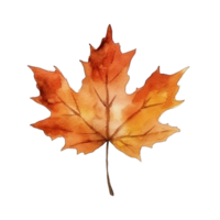 Watercolor Autumn Leaf. Illustration AI Generative png