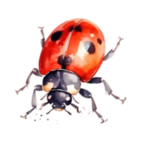 Watercolor Ladybug Isolated. Illustration AI Generative png