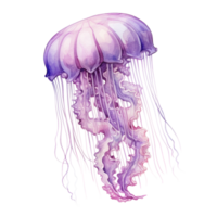 Watercolor Jelly Fish Isolated. Illustration AI Generative png