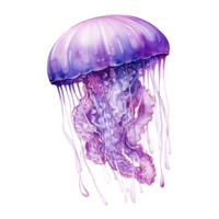 Watercolor Jelly Fish Isolated. Illustration AI Generative png