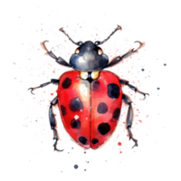 Watercolor Ladybug Isolated. Illustration AI Generative png
