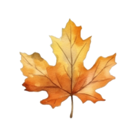 Watercolor Autumn Leaf. Illustration AI Generative png