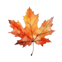 Watercolor Autumn Leaf. Illustration AI Generative png