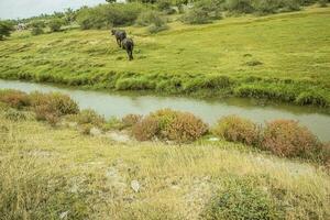 Beautiful landscape of grassland and pond in the countryside of Sri lanka photo