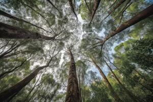 ai generado imponente arboles tramo arriba a el cielo, su ramas alcanzando fuera me gusta abierto brazos. foto