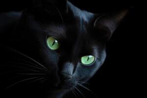 Minimalist portrait of a sleek black cat, with piercing green eyes and subtle shadows. photo