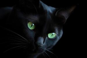 ai generado minimalista retrato de un pulcro negro gato, con perforación verde ojos y sutil oscuridad. foto