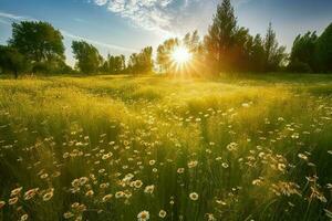 AI Generated The sun-kissed meadow stretched as far as the eye could see in this magical land. photo