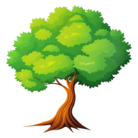 albero illustrazione png trasparente