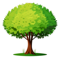 árbol ilustración png transparente