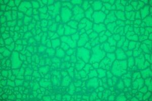 Green abstract pattern texture background with cracks and holes. Close up. photo