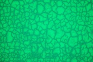 Green abstract pattern texture background with cracks and holes. Close up. photo