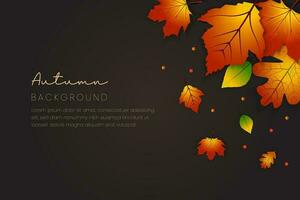 Autumn background with realistic leaves. Can be used for poster, banner, flyer, invitation, website or greeting card. Vector illustration