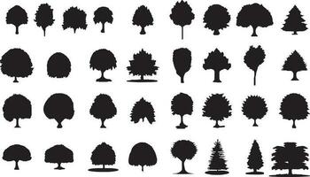 Vintage trees and forest silhouettes set in monochrome style isolated vector illustration