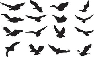 Set of black bird silhouettes. Vector elements for design.